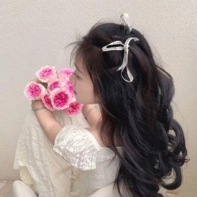 勇敢的翅膀